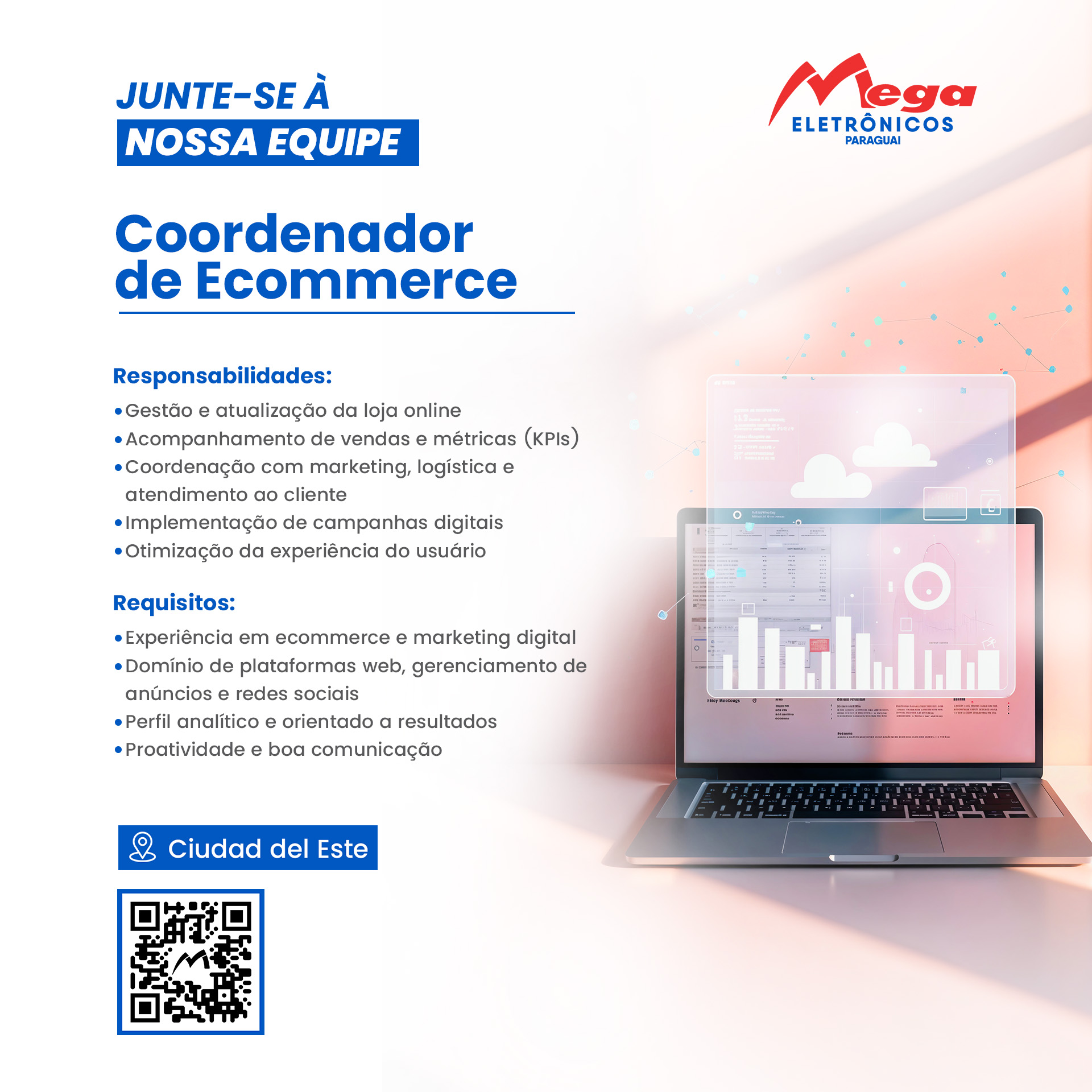 Coordinador Ecommerce BR
