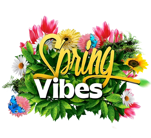 Sping Vibes en Mega Electrónicos