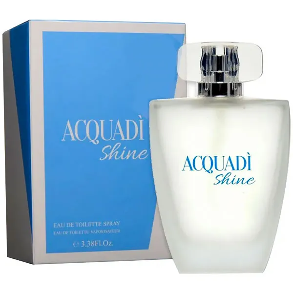 PERFUME FEMININO ACQUADI SHINE EDT 100ML (062213)