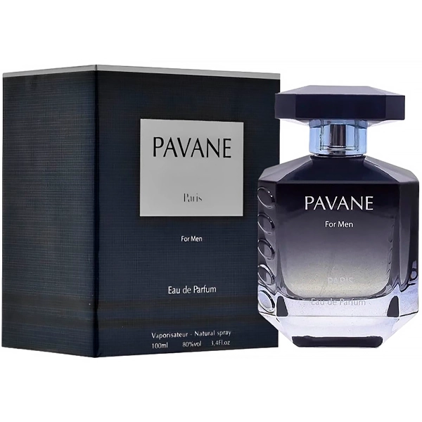 PERFUME MASCULINO ELODIE ROY PAVANE EDP 100ML (200148)