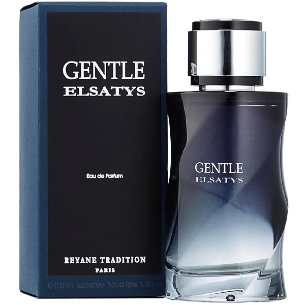 Perfume Masculino Reyane Tradition Gentle Elsatys EDP 100 ml