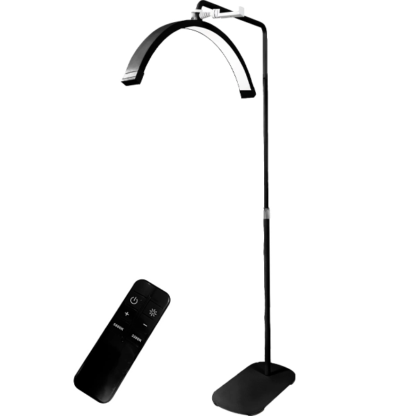 LED LIGHT PROSPER P-3115 MOON LIGHT 2V PRETO