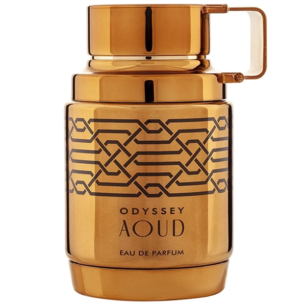 Perfume Masculino Armaf Odyssey Aoud EDP 100 ml