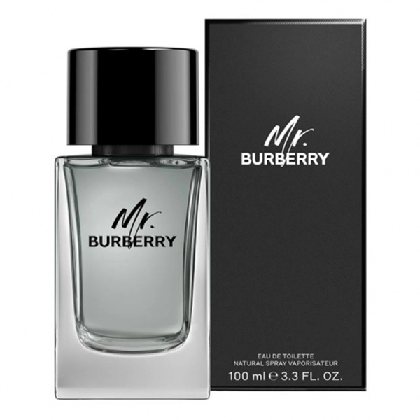 Perfume Masculino Burberry MR EDT 100 ml